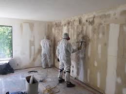 Why You Should Choose Our Mold Remediation Services in Marine, IL